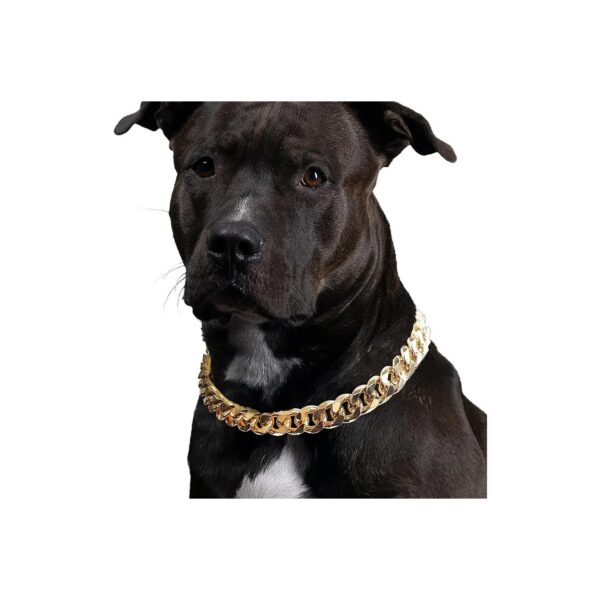 Lightweight Gold Chain Dog Collar for Puppy Fashion and Accessories