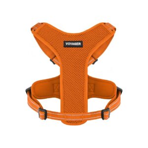 Lightweight Mesh Dog Harness with Steel Leash D-Ring and Adjustable Neck and Chest Straps