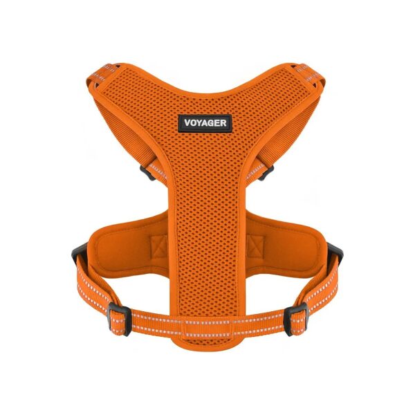 Lightweight Mesh Dog Harness with Steel Leash D-Ring and Adjustable Neck and Chest Straps