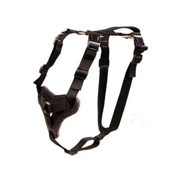 Lightweight Nylon and Leather Dog Harness for Protection and Tracking