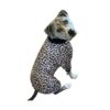 Lightweight Pitbull Pajamas - Leopard Print Full Coverage Onesie for Medium Size Dogs