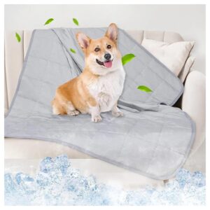 Lightweight Soft Cooling Dog Blanket for Pet Comfort