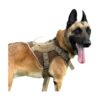 Lightweight and Airy Mesh Dog Harness for Active Dogs