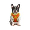 Lightweight and Breathable Nylon Dog Harness for Small to Medium Sized Dogs