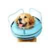 Lightweight, and Comfortable Dog Donut Collar for Large Medium Dogs After Surgery