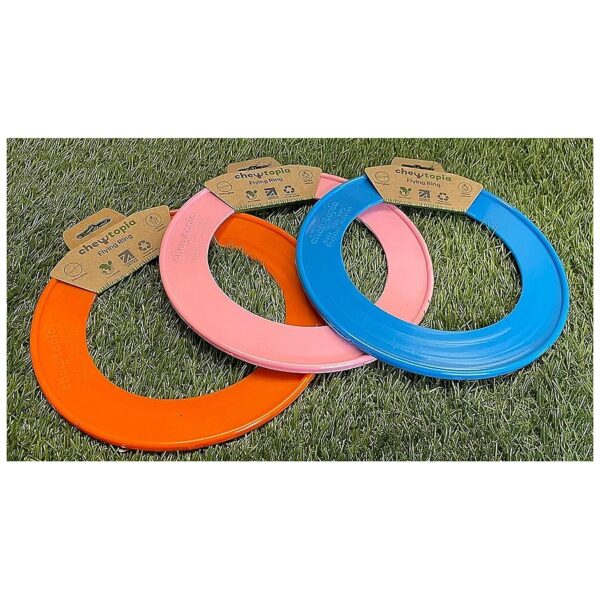 Lightweight and Durable Frisbee Toy for Active Dog Play