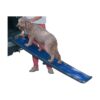 Lightweight and Portable Travel Ramps for Dogs and Cats