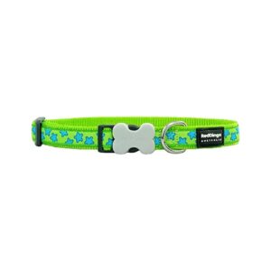 Lime Green with Blue Stars Small Dog Collar with Buckle Bone Clip