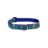 Limited-Slip Martingale Collar for Medium to Large Dog Breeds and Sizes