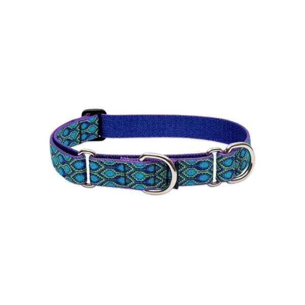 Limited-Slip Martingale Collar for Medium to Large Dog Breeds and Sizes