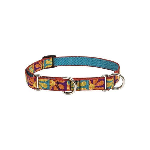 Limited-Slip Nylon Martingale Collar for Medium and Larger Dogs in Crazy Daisy