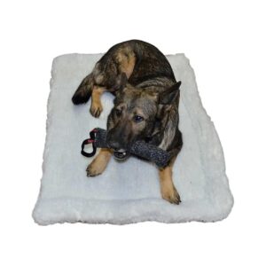 Lined Crate Mat for All Dogs, 16" x 26" Size, 3" Thick