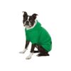 Lined Hoodie for Small to Medium-Sized Dogs in Green