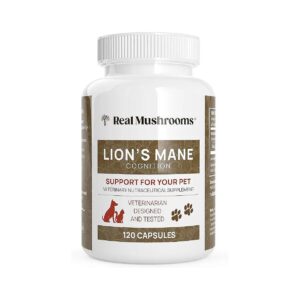 Lions Mane Mushroom Supplements for Cognition and Memory Support in Cats and Dogs