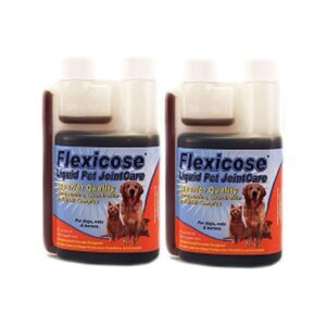 Liquid Glucosamine Supplement for Dogs with Joint Health and Mobility