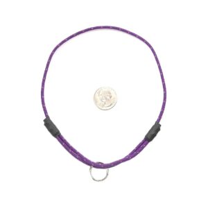 Lite Purple ID Collar for Medium-Sized Dogs with Adjustable Necks