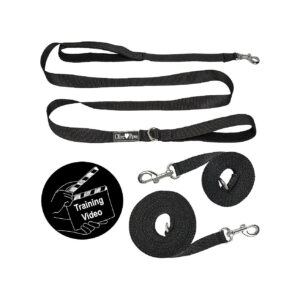 Long Black Dog Leash Set for Small Medium and Large Breeds Training