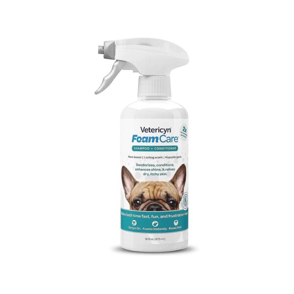 Long-Lasting Clean and Fresh Coat Shampoo for Dogs and Cats with Plant-Based Ingredients