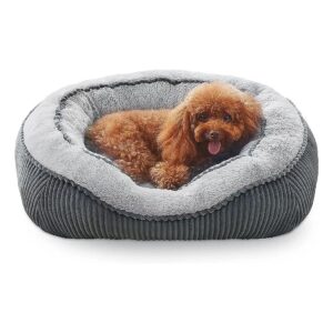 Long-Lasting Comfort for Small to Large Dogs and Cats with Orthopedic Design