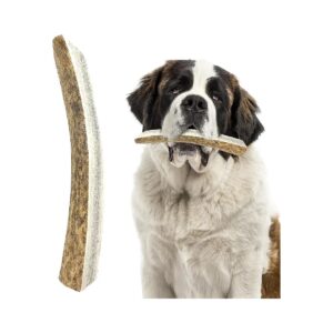 Long-Lasting Dog Chew Toys, Deer Antlers Harvested in the USA