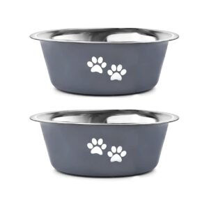 Long-Lasting Stainless Steel Dog Food and Water Bowls for Small to Medium Sized Dogs