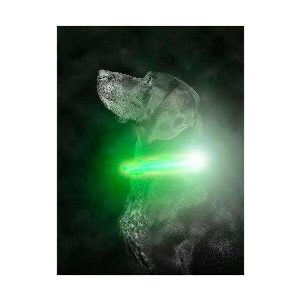 Long Lasting USB Rechargeable LED Dog Collar with Green Glow Strips and High Visibility