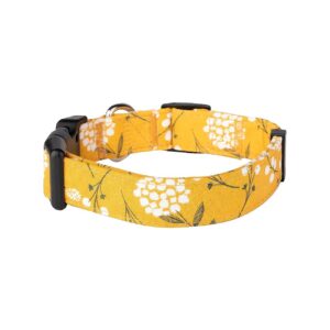 Long-Lasting and Adjustable Dog Collars for Small to Extra Large Dogs