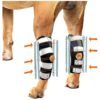 Long Leg Hock Braces for Dogs with Rigid and Spring Inserts for Complete Recovery Support