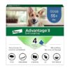 Long-Term Flea Prevention for Large Dogs, 4-Month Supply