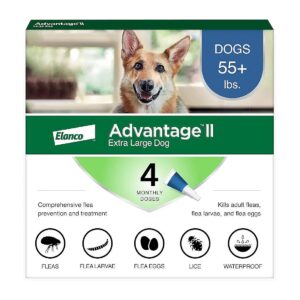 Long-Term Flea Prevention for Large Dogs, 4-Month Supply