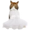 Lovely Dog Dog Dress with Dreamy Lace and Rose Decor for Small to Medium Girl Dogs