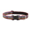 Lupine 1 Inch Wide Adjustable Nylon Dog Collar El Paso Design Fits 16 to 28 Inches Long