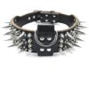 Luxury Leather Spiked Studded Dog Collar for Medium Large Dogs 21-24" Neck Size