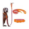 Luxury Red Leather Dog Collars and Matching Leashes for Large Dogs