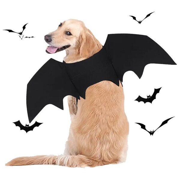 M Size Bat Wing Dog Costume for Small to Large Size Dogs Party Decoration