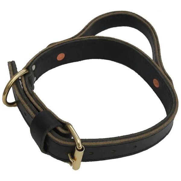 Made Leather Agitation Collar with Buckle Closure and Stainless Steel D-Ring