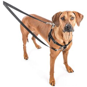 Made No-Pull Dog Harness with Velvet Lining for Chafing Prevention and Comfort