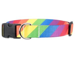 Made Polyester Rainbow Flag Dog Collar with Durable Buckle and Strong Webbing