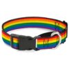 Made Pride Rainbow Martingale Dog Collar 1" Wide