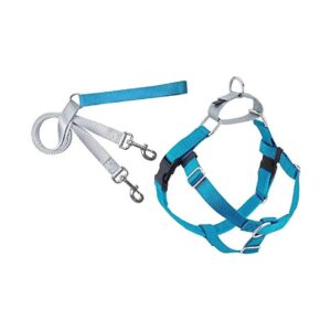 Made Turquoise Dog Harness with Box Top and Safety Strap for All Breeds, XSmall 5/8