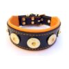 Made in Europe Leather Dog Collar with Soft Padded and Studded Design