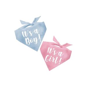 Made in USA Dog Bandana for Baby Boy and Girl Reveal