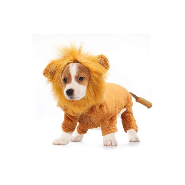 Majestic Lion Costume for Cats and Small Breed Dogs - Ideal for Cosplay Parties