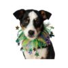 Mardi Gras Inspired Star Patterned Polyester Pet Collar Medium Large Multicolor