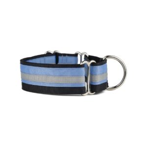 Martingale Collar for Dogs - Strong and Comfy - Training and Control