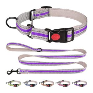 Martingale Collar for Small Dogs Soft Neoprene Padded Reflective Buckle Nylon Pet Owners