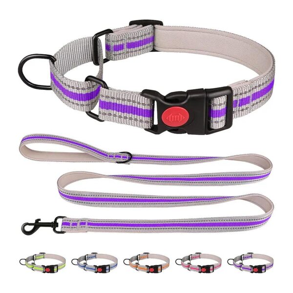 Martingale Collar for Small Dogs Soft Neoprene Padded Reflective Buckle Nylon Pet Owners