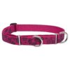 Martingale Collar with Plum Blossom Pattern for Medium and Larger Dogs