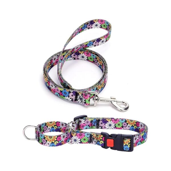 Martingale Dog Collar Small, Medium, Large Dogs with Buckle Closure for Safe Training