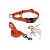 Martingale Dog Collar and Leash Set for Small Medium Large Dogs Orange Size S M L